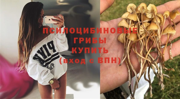 стаф Горно-Алтайск