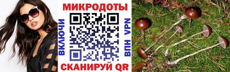 Псилоцибиновые грибы Psilocybine cubensis  Купить  Южноуральск 